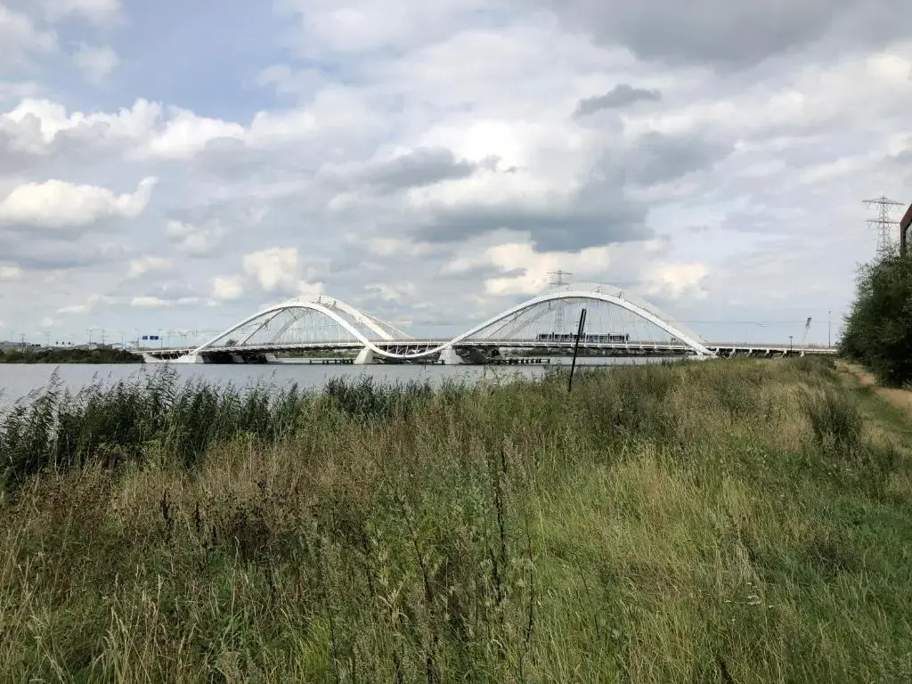B&B De Zwanebloem