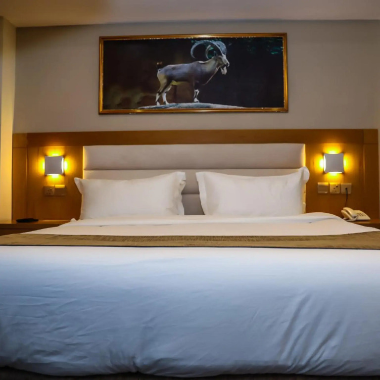 Muscat Plaza Hotel