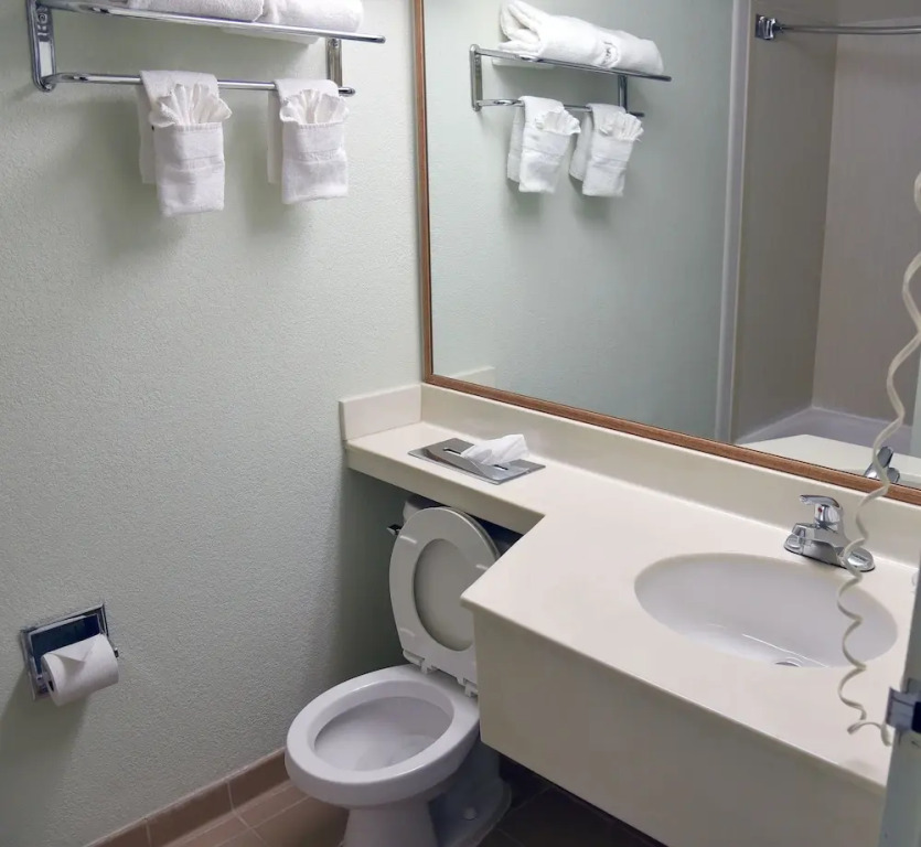 Quality Inn & Suites Metro