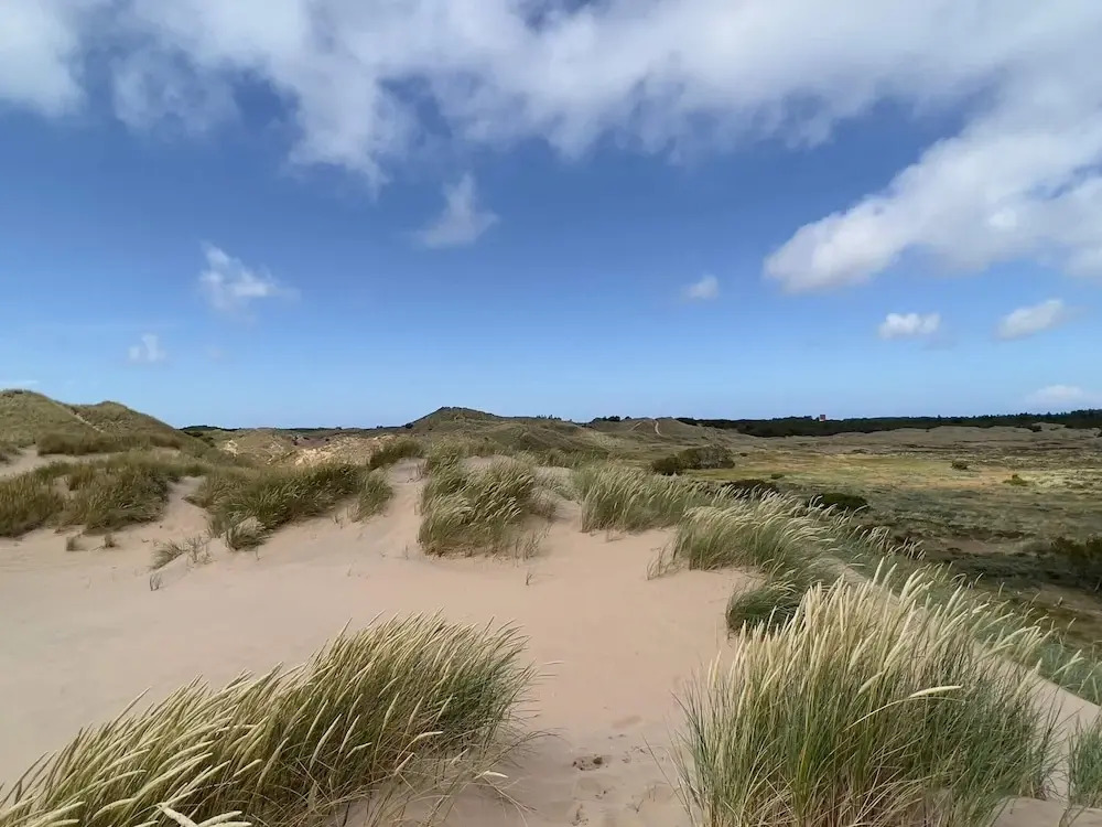 Tranquil Holiday Home in Skagen near Coast