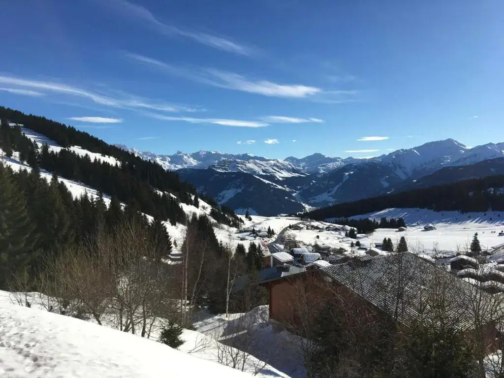 Appartement Les Saisies, 2 pièces, 4 personnes - FR-1-293-235