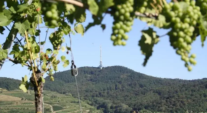 Gasthof Neun Linden