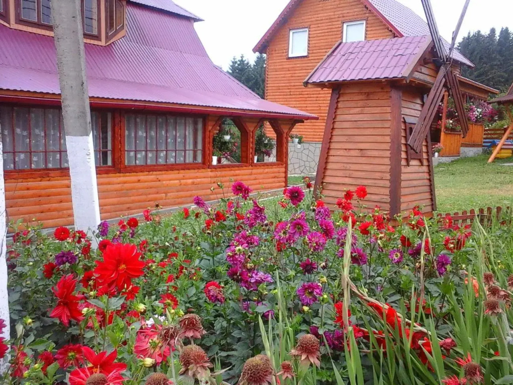 Romashka Guest House