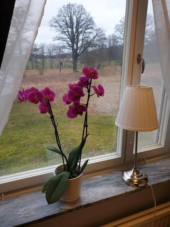 Tokeryds Herrgård