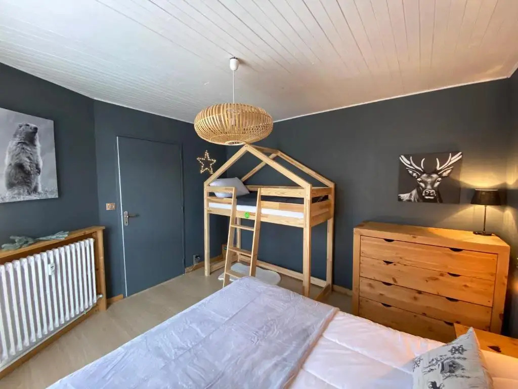 Appartement cosy au pied des pistes