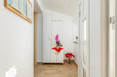 Apartments Hortensia