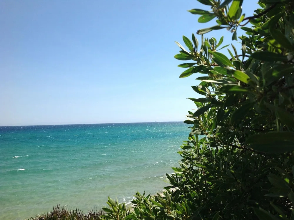 Dandrea Resort