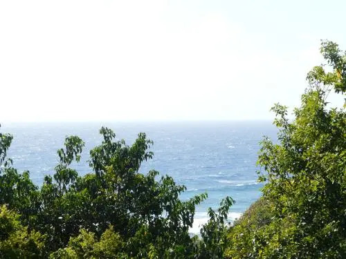 Villas Coccoloba & Jacaranda