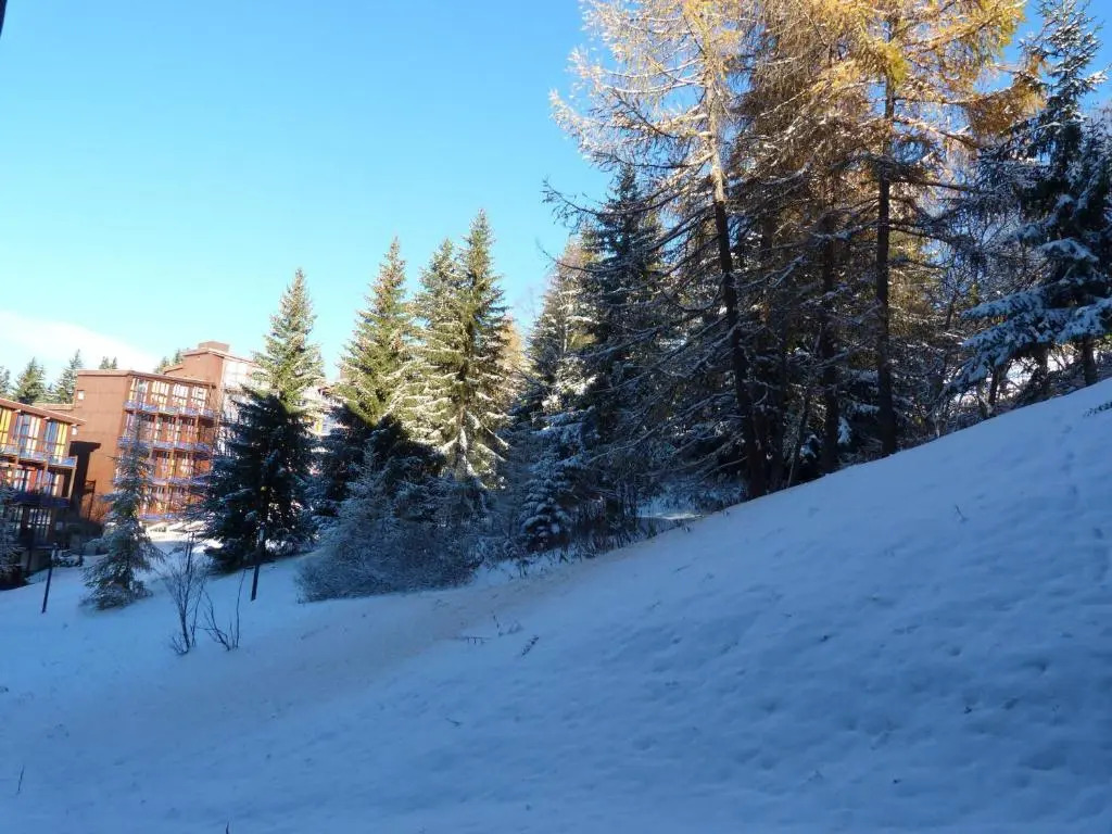 Appartement Les Arcs 1800, 2 pièces, 6 personnes - FR-1-411-338