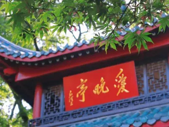 Qiu Homestay (Wuyi Square IFS International Financial Center)