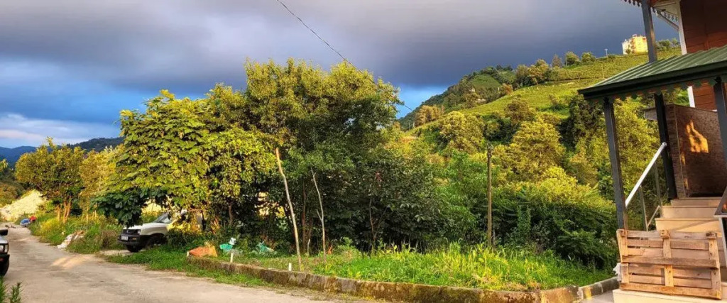 Umut Apart Rize