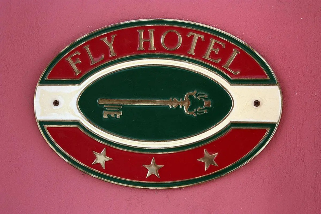 Hotel Fly