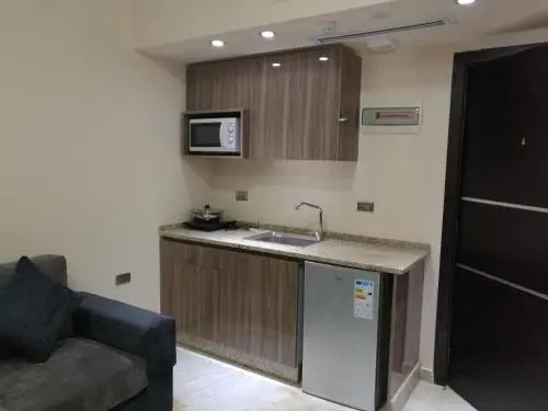 Qaser Al-Sultan Hotel Suites