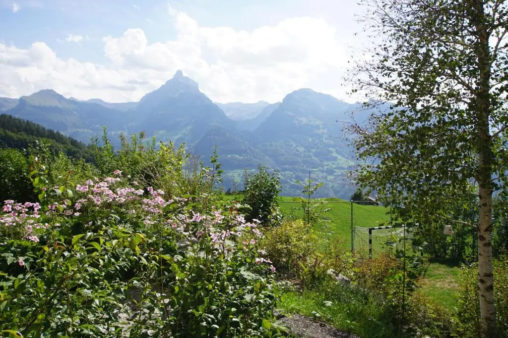 Schwendihaus