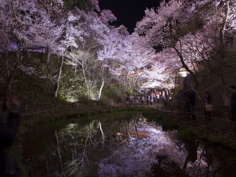 Takato Sakura Hotel