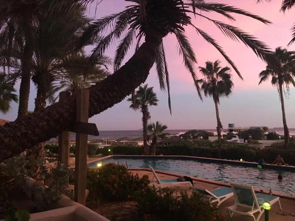 Palms & Pools apartment at Curacao Ocean Resort