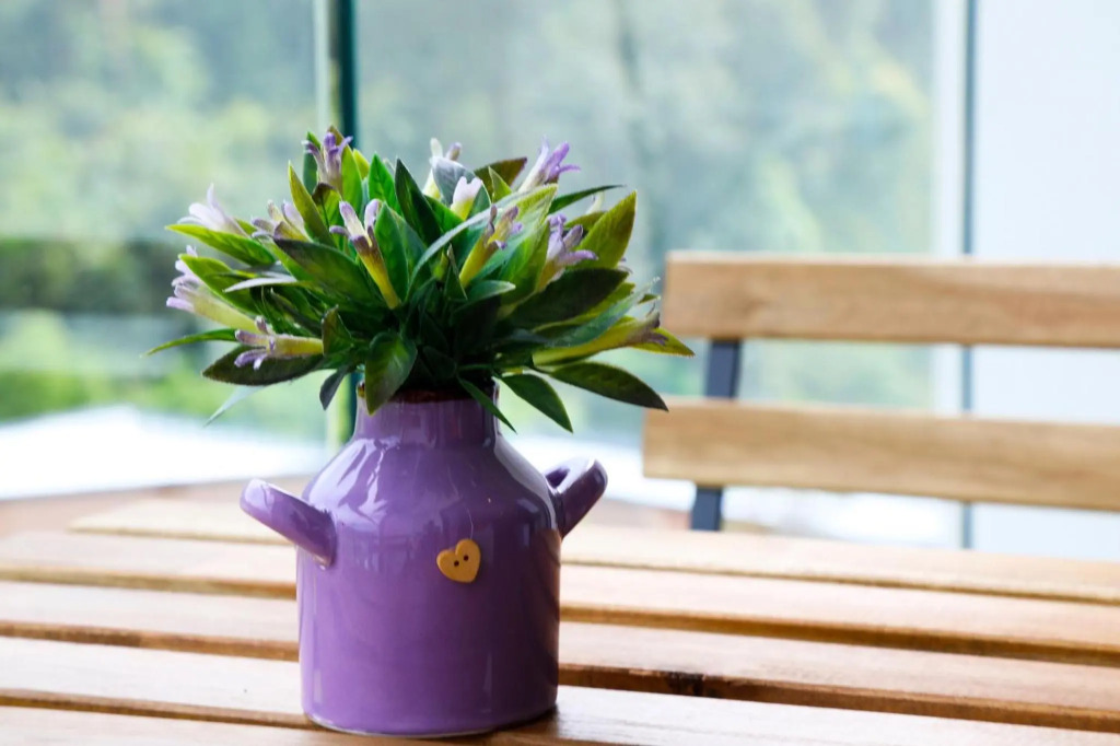 NATURE COZY HOME @MIDHILLS GENTING l 8 MINS SKYWAY/GPO