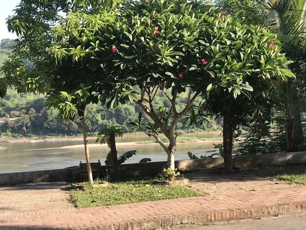 Luang Prabang Mekong Charm River View