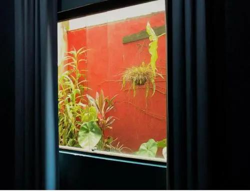 Xua Hostel Santos