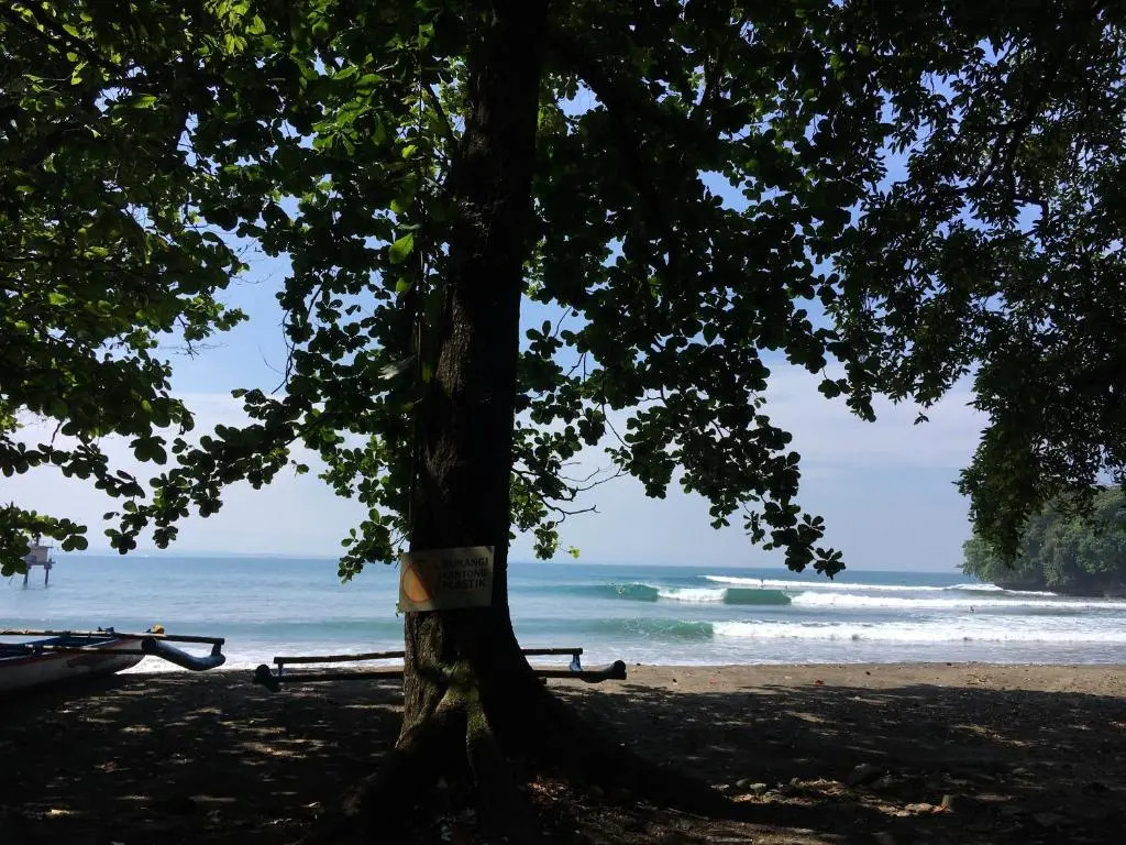 Villa Monyet Java