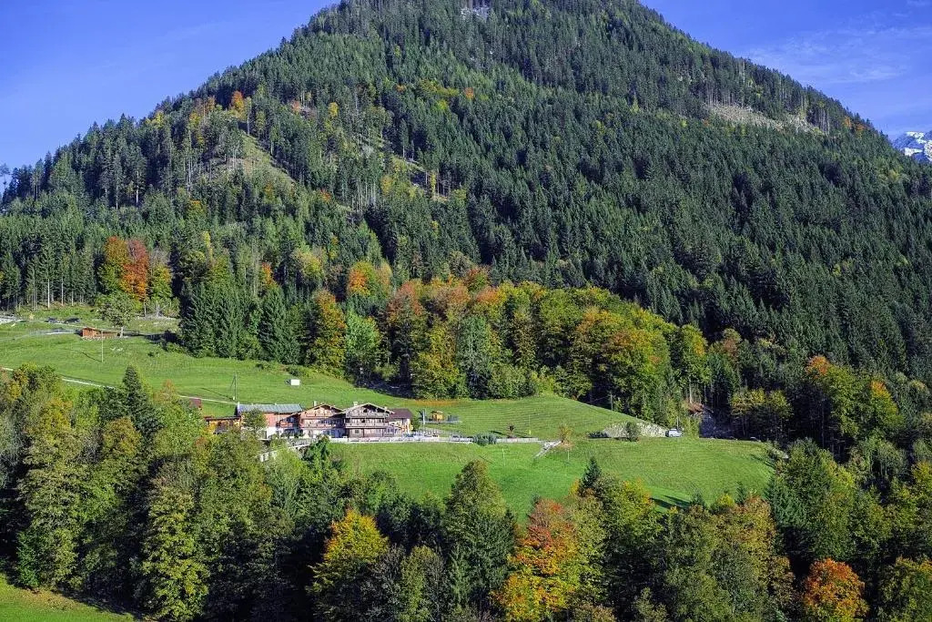 Alpengasthof Hochlenzer