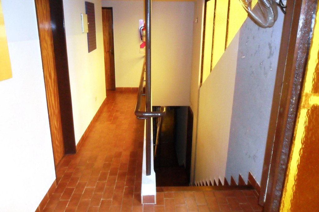 Hotel Futuro Colon