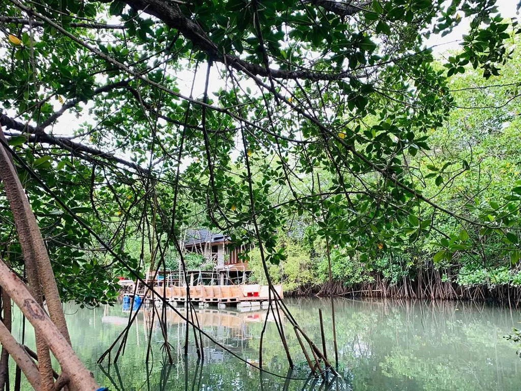 RealRare - The Outing Villas Phetchaburi