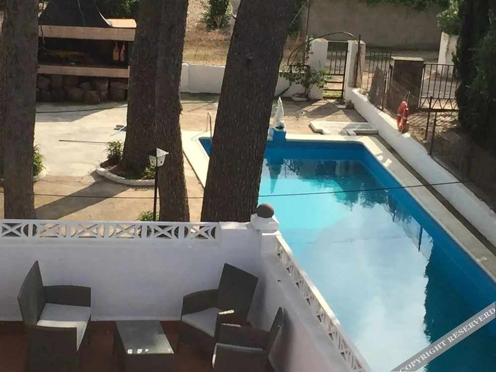 La Palmera Denia