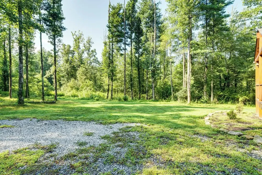Secluded, Private! Forested Hendersonville Retreat
