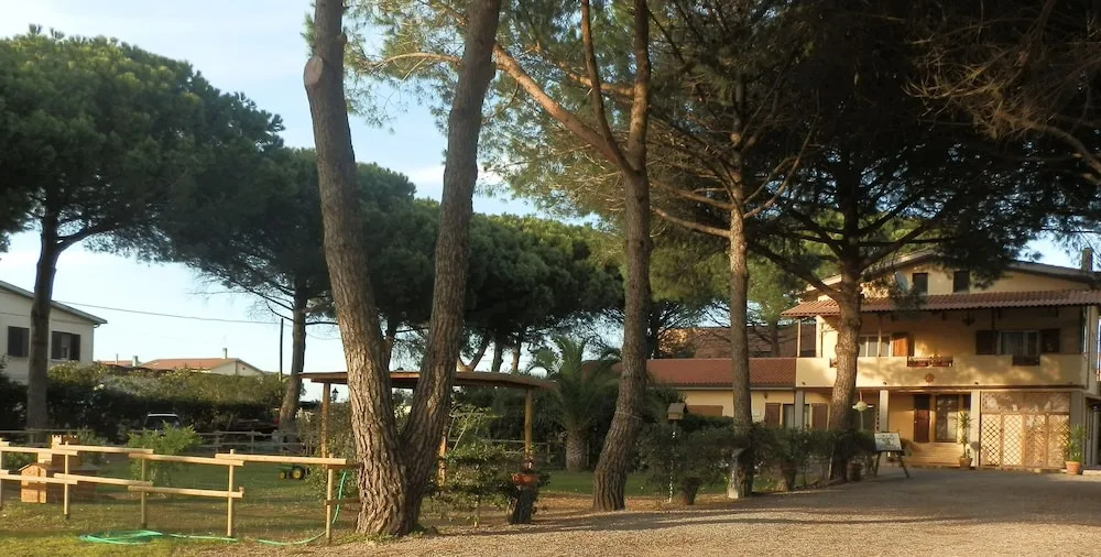Il Picchio Verde