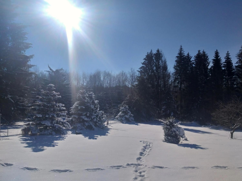 Hochwald Maxi