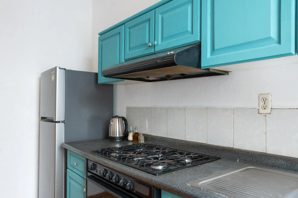 Comfortable 2HA/1BA furnished apartment Roma Norte