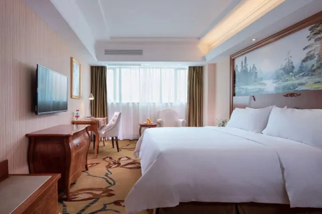 Vienna Hotel (Shenzhen Longgang Xinsheng Metro Station Branch)