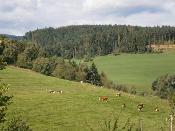 Landgasthof Berghof