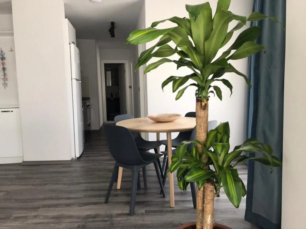 Vibrant Apartment 7 Min to Marmaris Beach