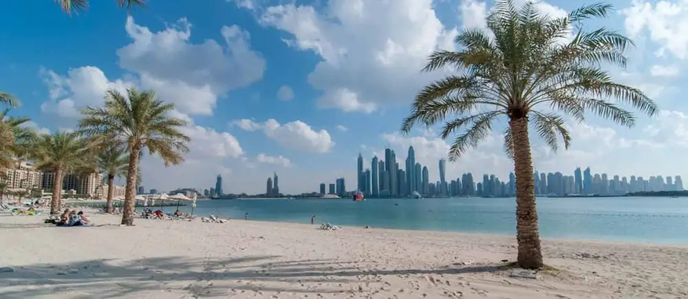 Five Palm 2br - High Floor With Full Marina View