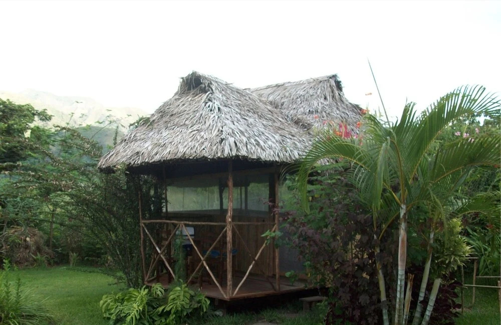 Chanchamayo Cloud Forest San Carlos