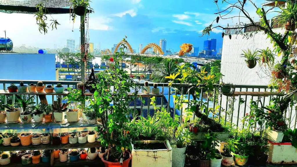 Sena home 4th-Rooftop Overlooking Danang Dragon bridge