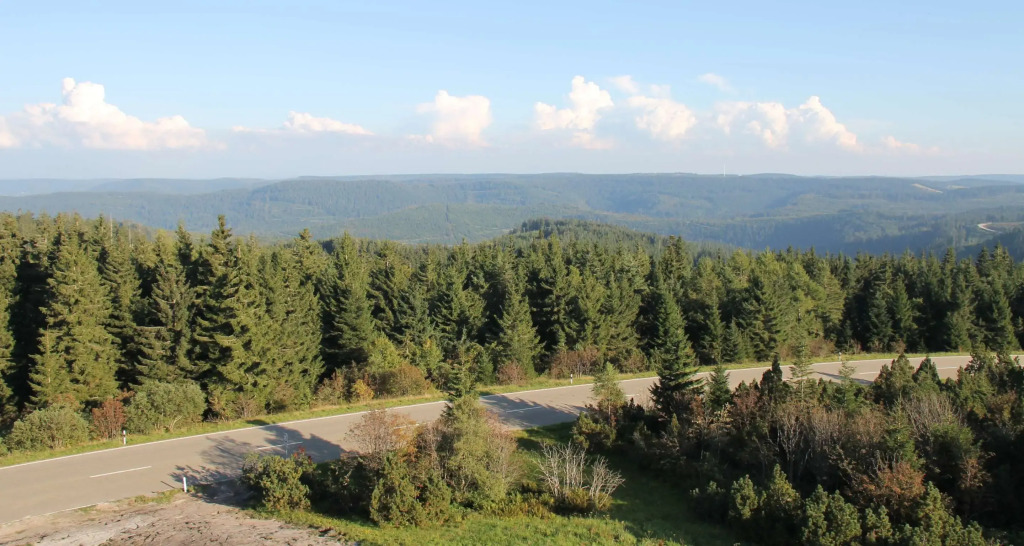 Wellness-& Nationalpark Hotel Schliffkopf, BWSC