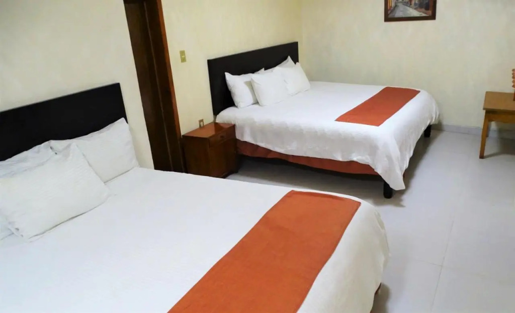 Hotel Barrio Antiguo