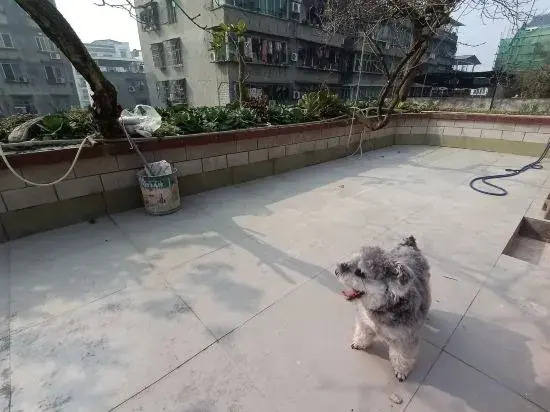 Langzhong Ancient City Villa Inn