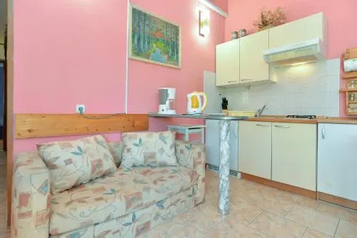 Apartments Predrag 498