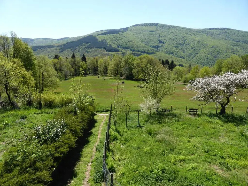 La Bouriotte Gîtes