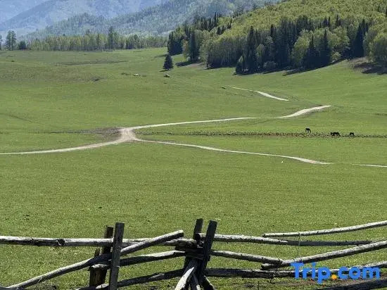 Hemu Youyuan Chalet Forest B&B