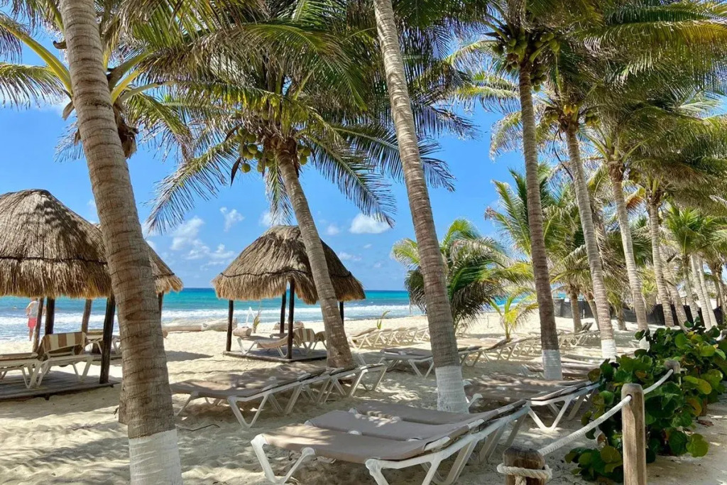 Hive Cancun by G Hotels