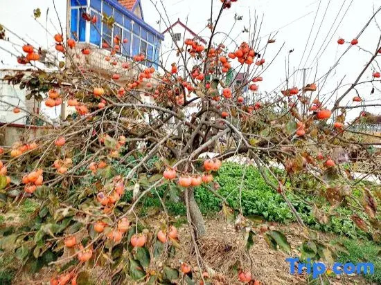 Shanghai Zheli Renjia Homestay