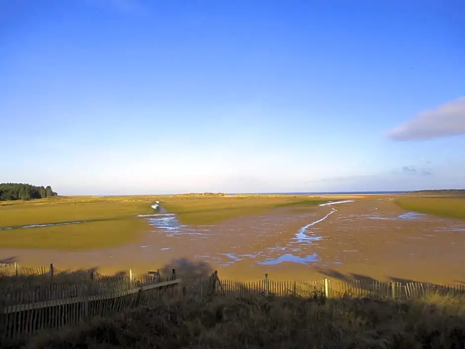 No 52 'Sea Holly' Holkham