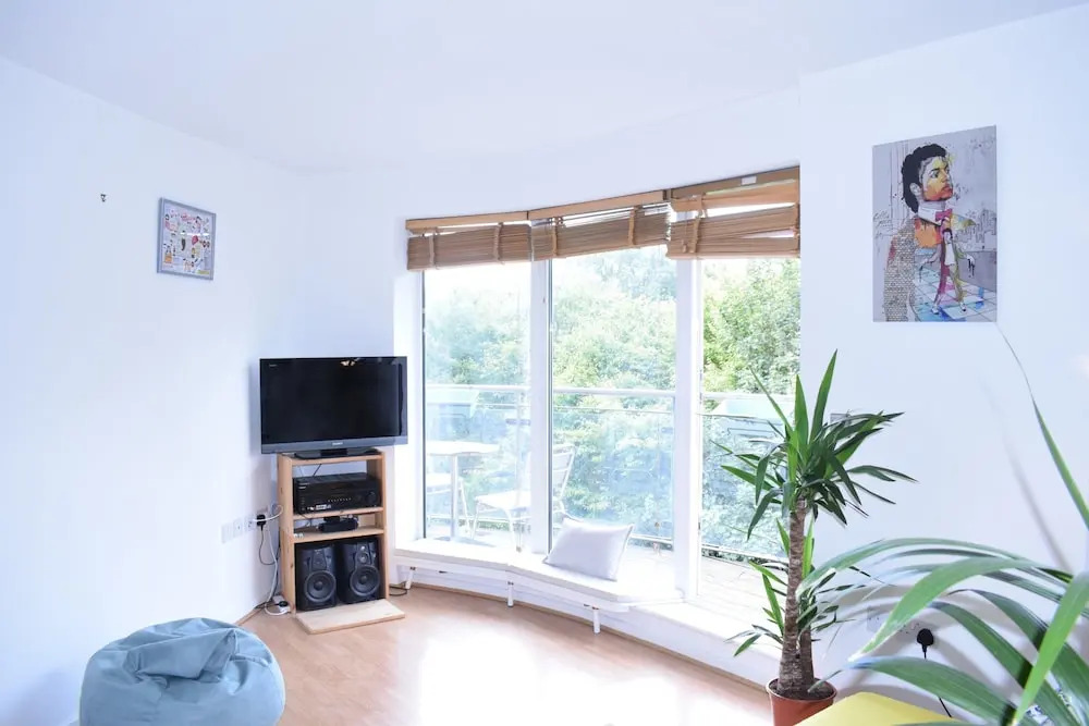 Spacious 1 Bedroom Apartment Overlooking Haggerston Park