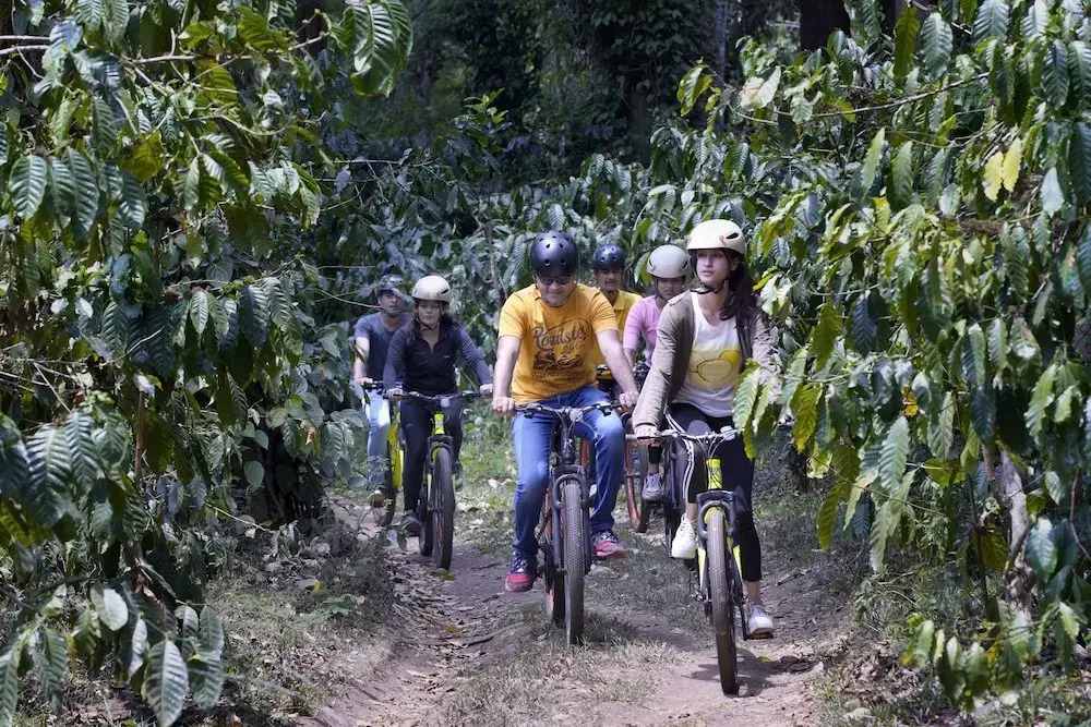Gokulam Grand Resort & Spa, Coorg