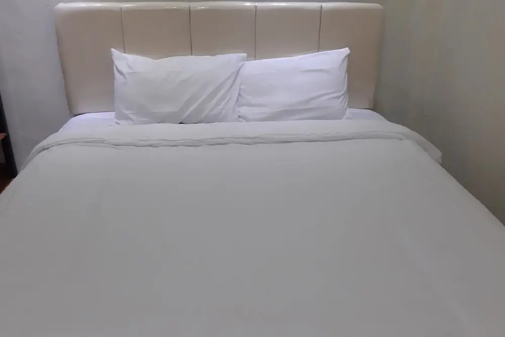 Hotel O Kost Indra
